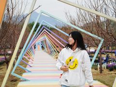 -盈香心动乐园