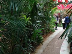 -石家庄市植物园