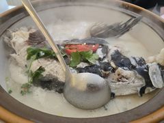 -全乐鱼馆·淳牌有机鱼直营店