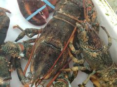 -南沙十九涌渔人码头-南门