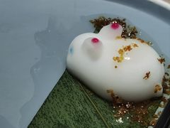 -探窝·竹笙椰子鸡(杨箕店)