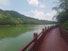 -广州白江湖森林公园