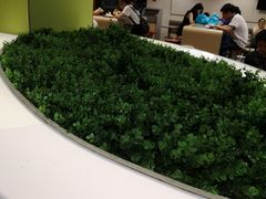 -麦当劳(温州人民路店)