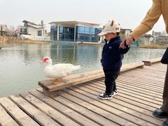 -天津东丽湖风景区