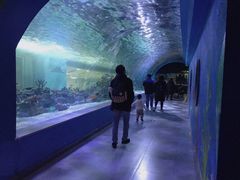 -常州海昌海洋探索馆