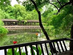 -东湖落雁景区