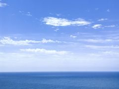 -广东惠东海龟国家级自然保护区