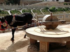 -梁家河村红色旅游区