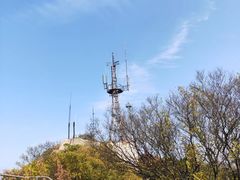 -紫金山山顶公园