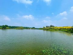 -东郊湿地公园
