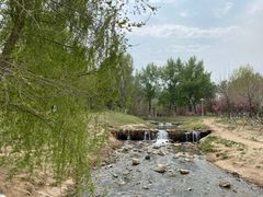 -长白岛森林公园