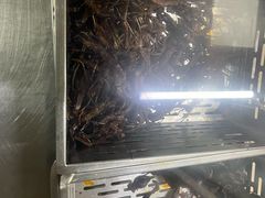 -金丹酱板鸭营业厅(紫缘路店)