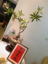 -Your Yoga Pilates·瑜伽普拉提习练室