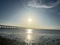 -深圳湾公园(南山区)