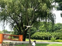 -东方绿舟景区