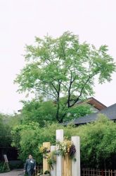 -曼格纳婚礼艺术中心(张江店)