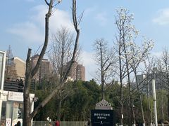 -大宁公园