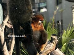 -宁波野生动物园
