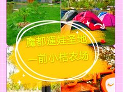-前小桔亲子创意农场·草莓采摘·露营烧烤