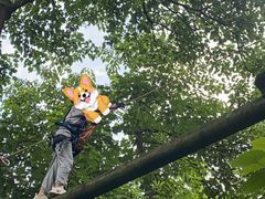 -芦仙山景区-飞越丛林探险乐园