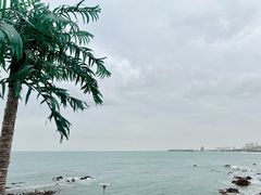-青岛金沙滩