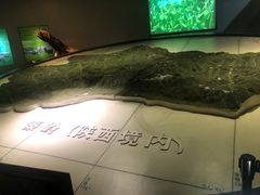 -陕西自然博物馆