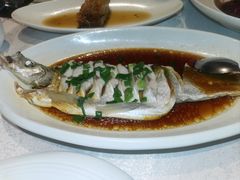 -金美华轩(东方路齐鲁店)