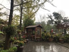 -青城甲(青城山店)