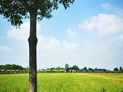 -嘉北郊野公园