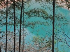 -白云源风景区