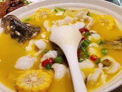 -熠盛粤味·顺德桑拿鸡(永康路店)