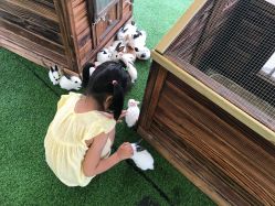 -萌宠亲子动物乐园(槐房万达店)