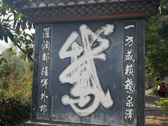 -靖西鹅泉风景区
