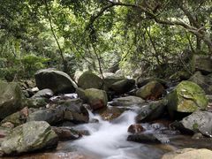 -梧桐山风景名胜区