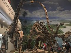 -自贡恐龙博物馆