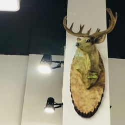 -Moyue HAIR SALON