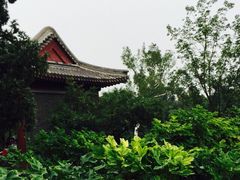 景山公园-景山公园