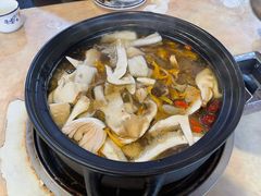 -蘑统田下·野生菌火锅