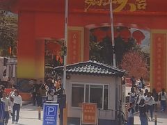 -风云岭森林公园