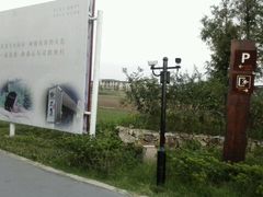 -田园东方蜜桃村的田野营地