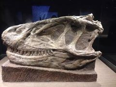 -自贡恐龙博物馆