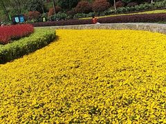 -宜昌富力皇冠假日酒店·咖啡1号西餐厅