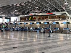 -米兰马尔彭萨国际机场