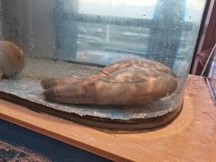 -大渔小鲜火锅店