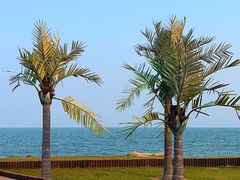 -巧克力渔家.小船海鲜胶东菜(万平口店)