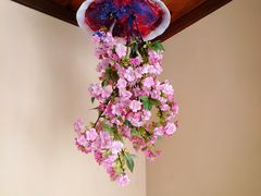 -金山农民画村-枫泾波兰倒置屋