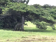-鹅銮鼻公园