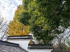 -日出青木