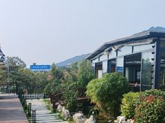 -蘇河湾·新鲁菜·泰山宴(泰山店)
