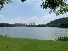 -顺峰山公园